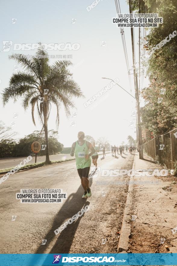 APAE Day Run Rolândia 2023