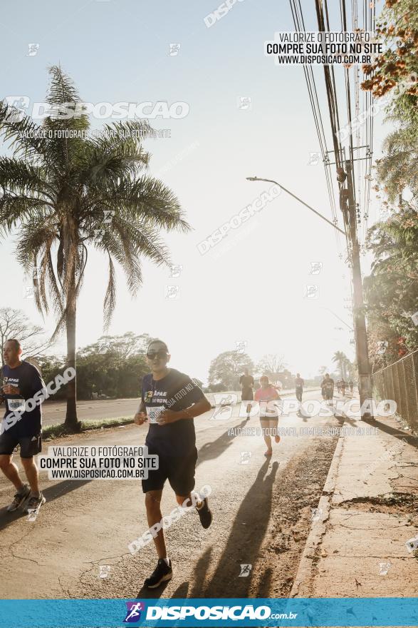 APAE Day Run Rolândia 2023