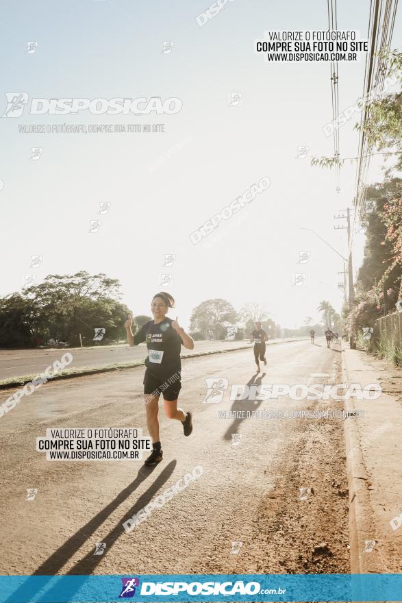 APAE Day Run Rolândia 2023