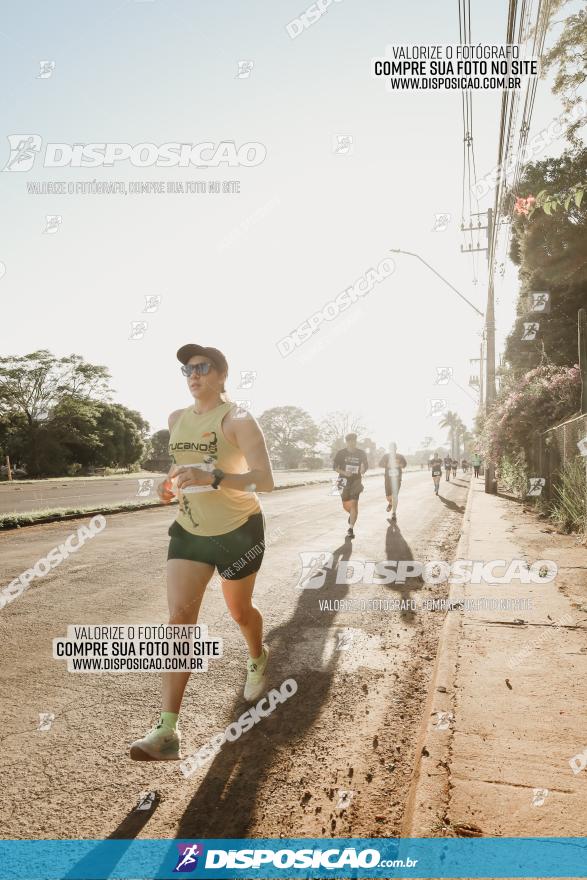 APAE Day Run Rolândia 2023