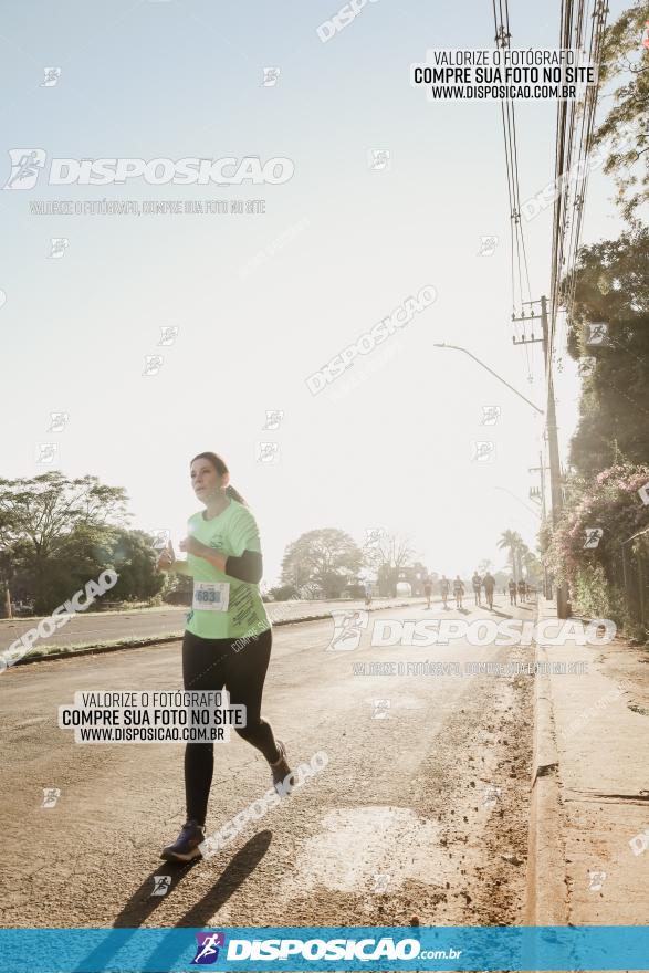 APAE Day Run Rolândia 2023