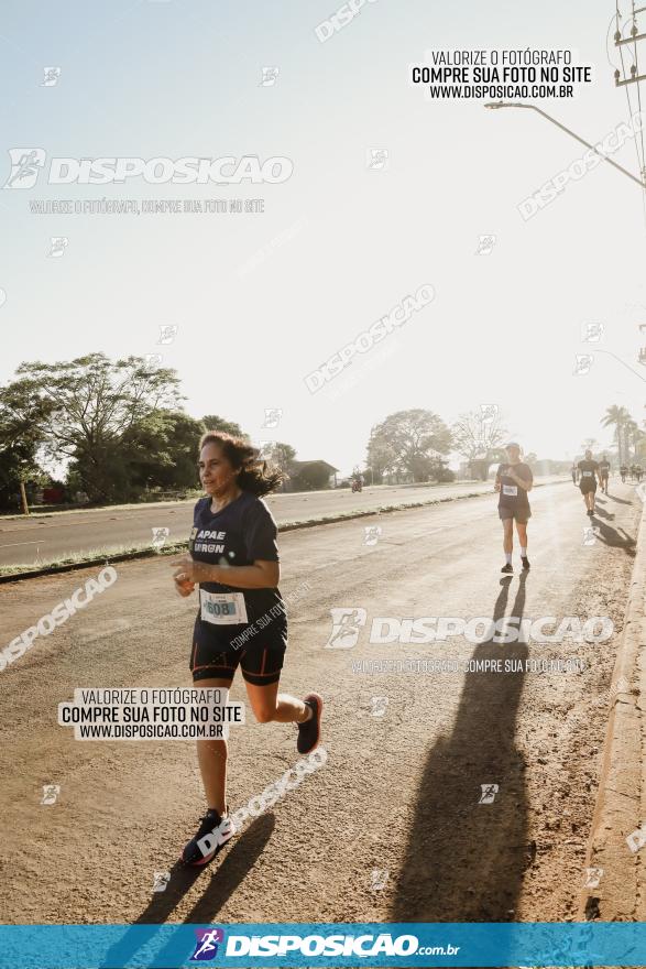 APAE Day Run Rolândia 2023