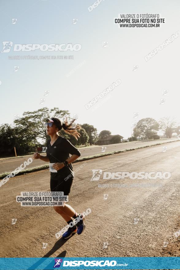 APAE Day Run Rolândia 2023