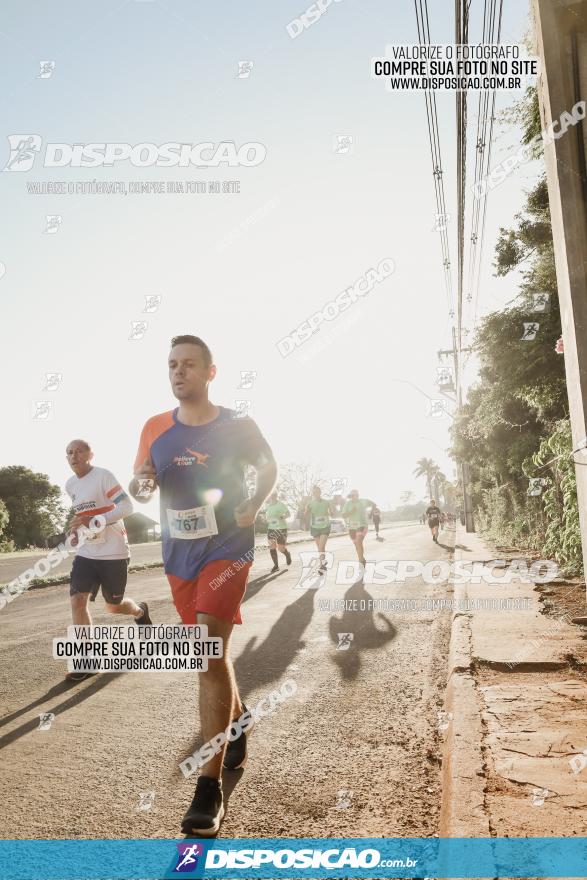 APAE Day Run Rolândia 2023