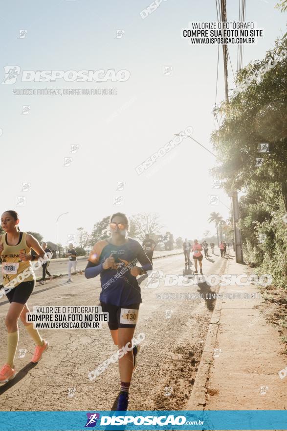 APAE Day Run Rolândia 2023