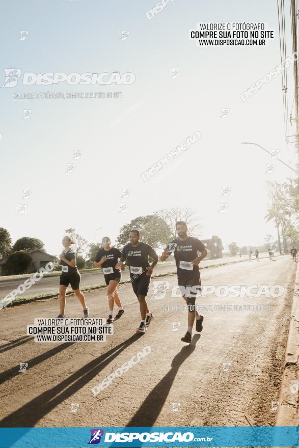 APAE Day Run Rolândia 2023