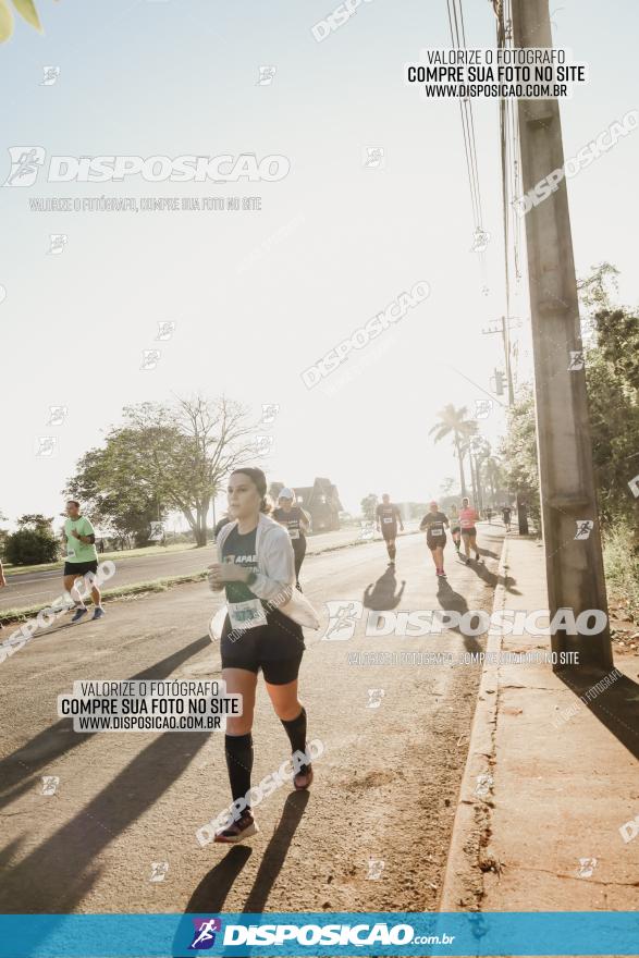 APAE Day Run Rolândia 2023