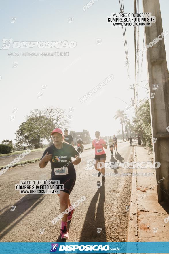 APAE Day Run Rolândia 2023