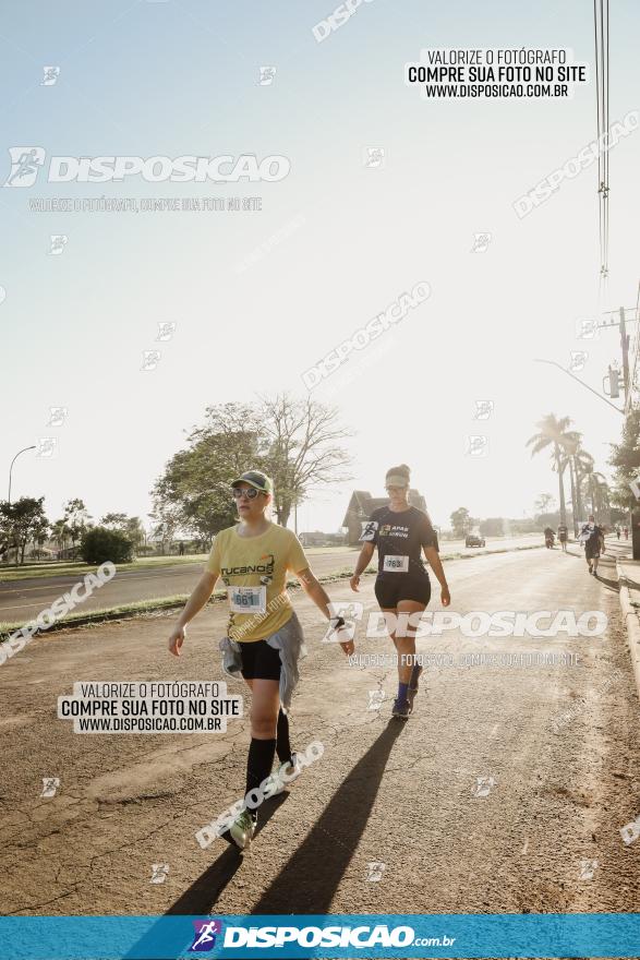 APAE Day Run Rolândia 2023