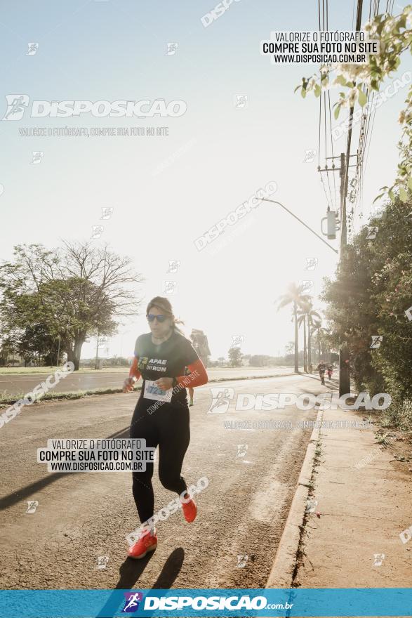 APAE Day Run Rolândia 2023