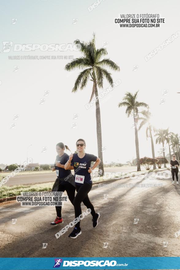 APAE Day Run Rolândia 2023