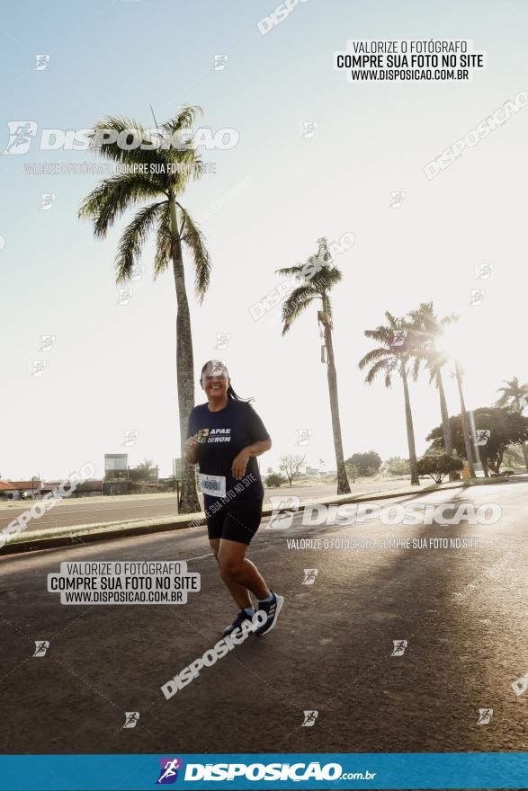 APAE Day Run Rolândia 2023