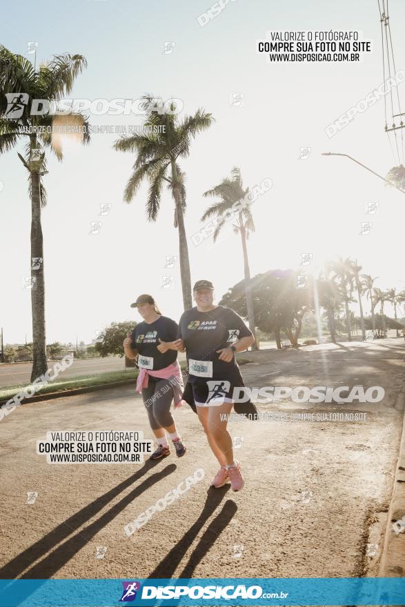 APAE Day Run Rolândia 2023