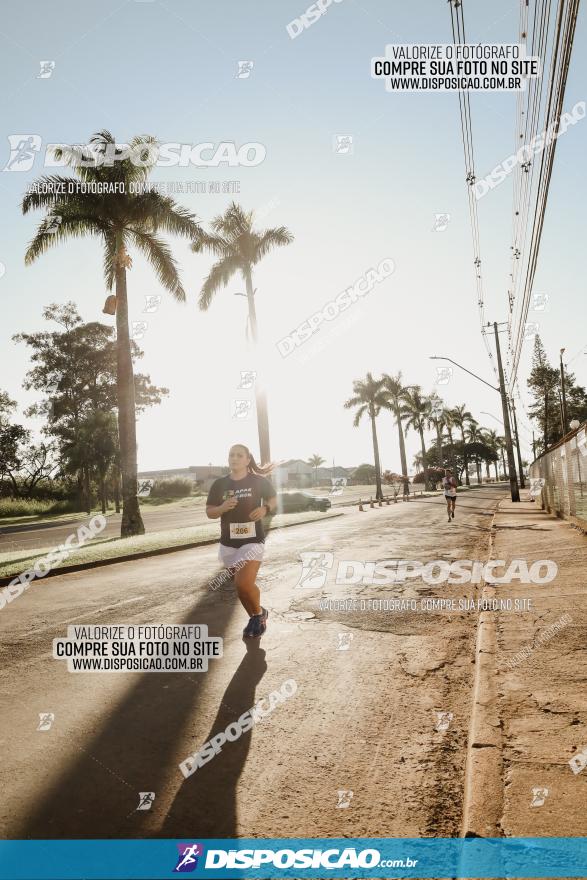 APAE Day Run Rolândia 2023