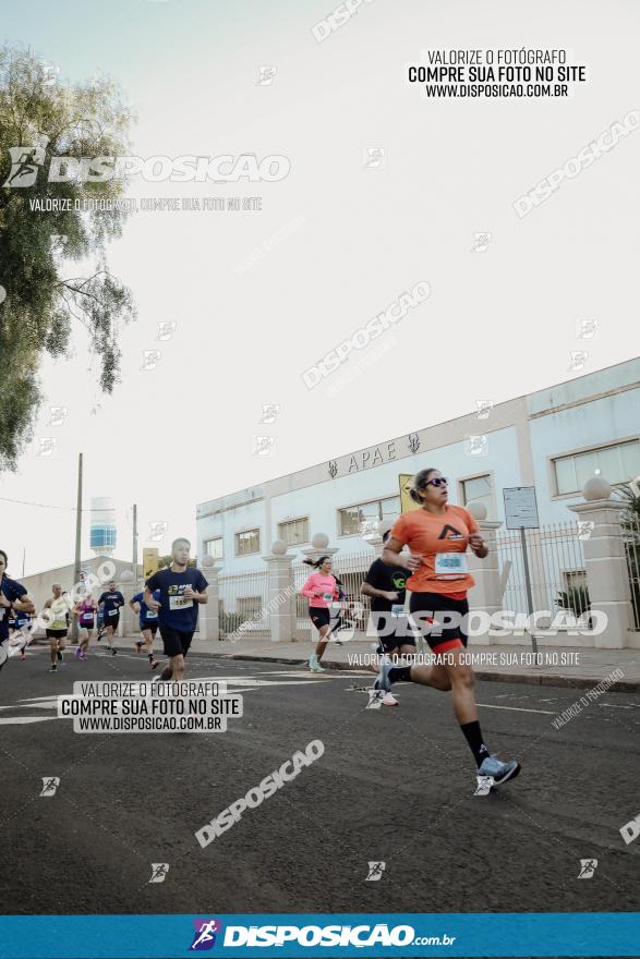 APAE Day Run Rolândia 2023