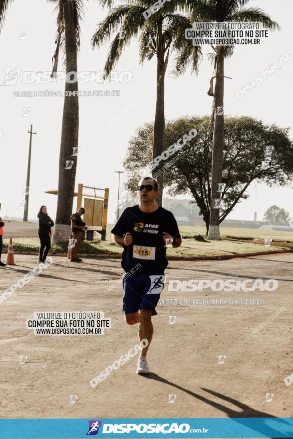 APAE Day Run Rolândia 2023