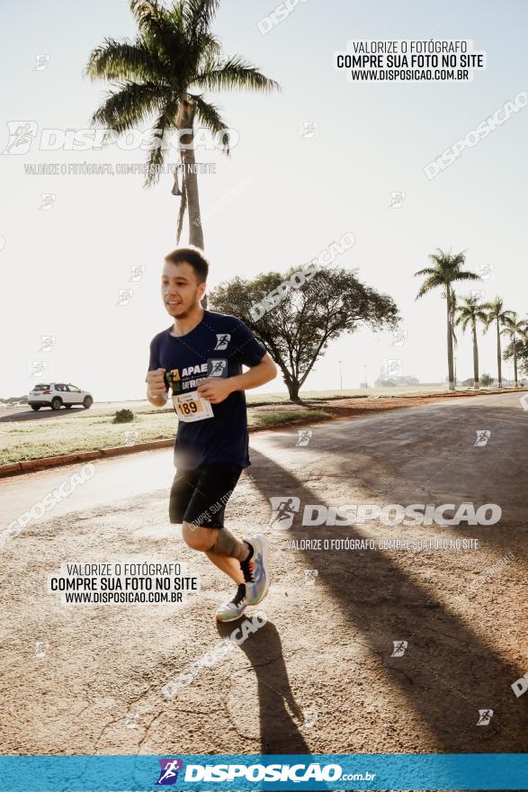 APAE Day Run Rolândia 2023