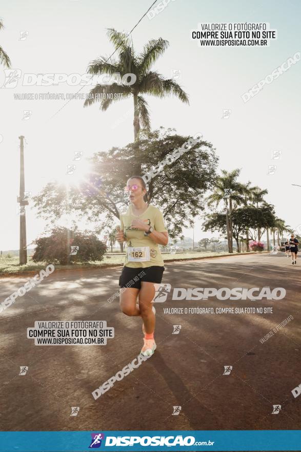 APAE Day Run Rolândia 2023