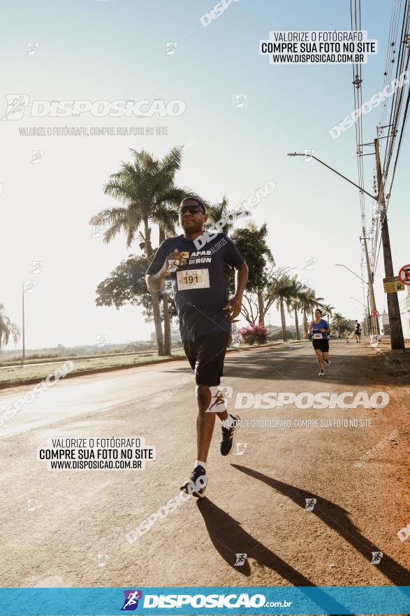 APAE Day Run Rolândia 2023