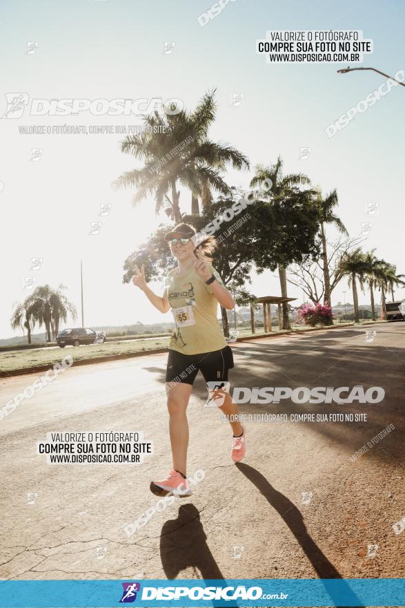 APAE Day Run Rolândia 2023