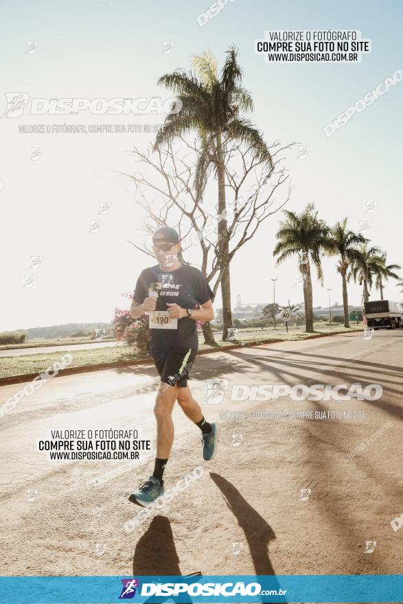 APAE Day Run Rolândia 2023