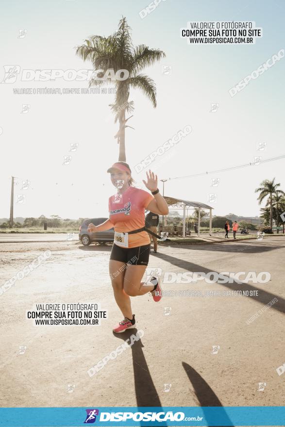 APAE Day Run Rolândia 2023