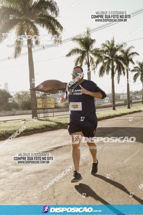 APAE Day Run Rolândia 2023