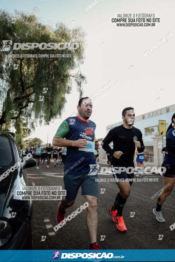 APAE Day Run Rolândia 2023