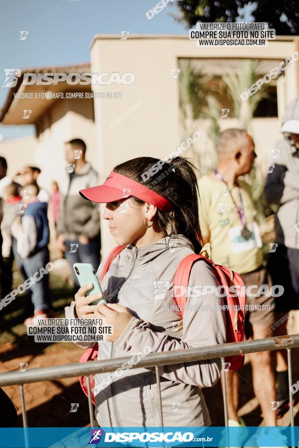 APAE Day Run Rolândia 2023