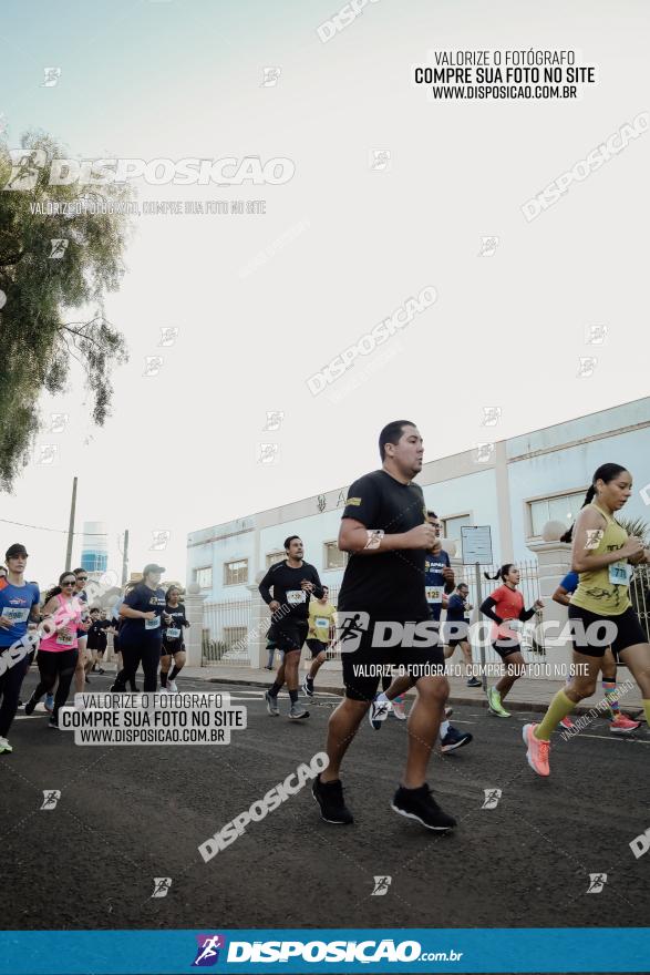 APAE Day Run Rolândia 2023