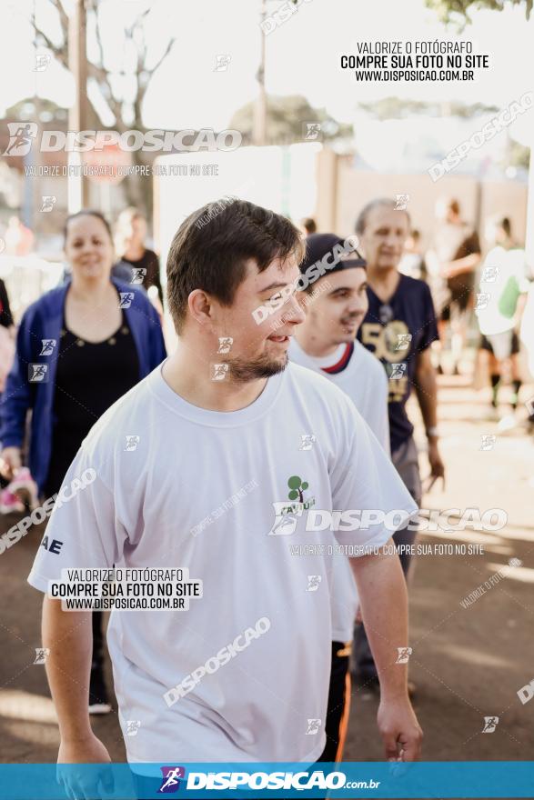 APAE Day Run Rolândia 2023