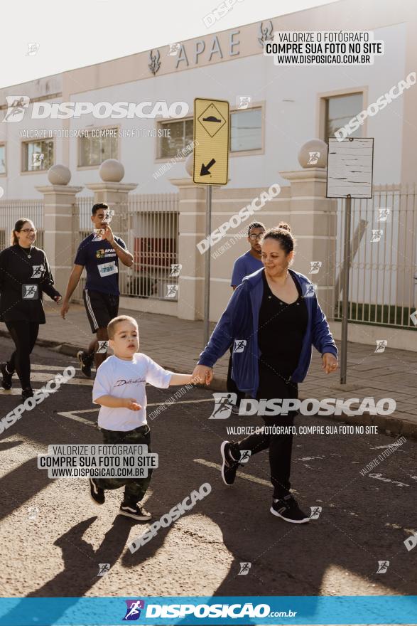 APAE Day Run Rolândia 2023