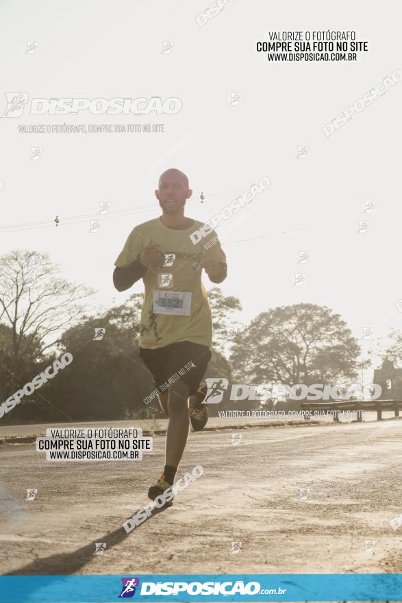 APAE Day Run Rolândia 2023