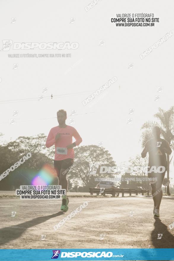 APAE Day Run Rolândia 2023