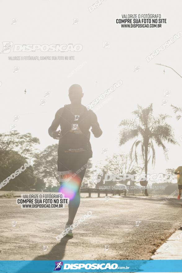 APAE Day Run Rolândia 2023