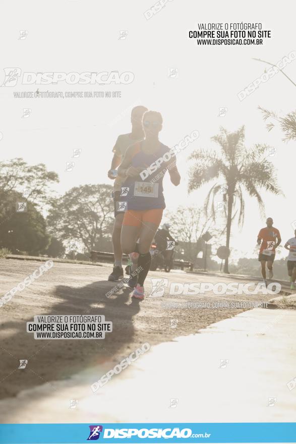 APAE Day Run Rolândia 2023