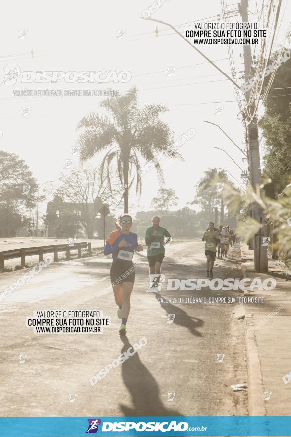 APAE Day Run Rolândia 2023