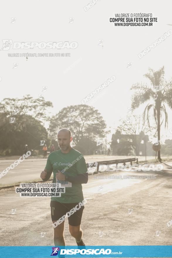 APAE Day Run Rolândia 2023