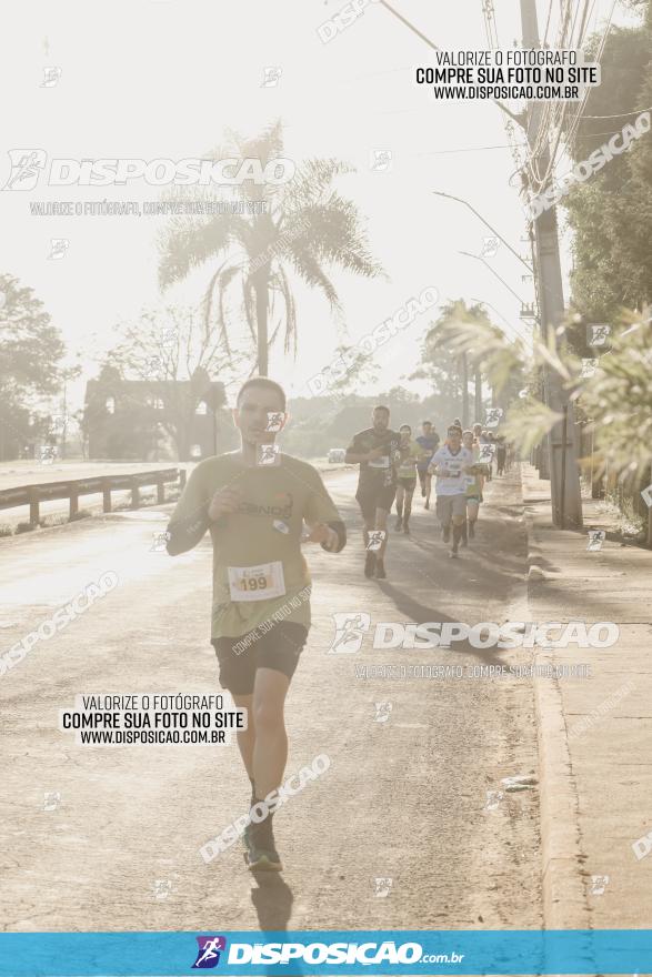 APAE Day Run Rolândia 2023