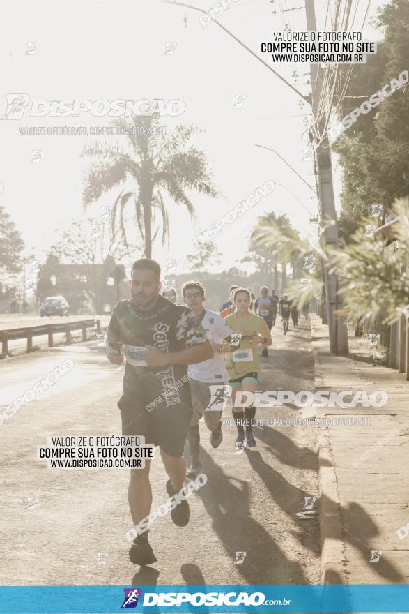 APAE Day Run Rolândia 2023