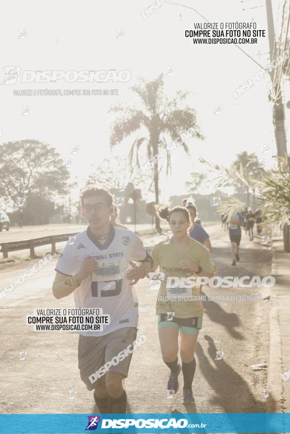 APAE Day Run Rolândia 2023