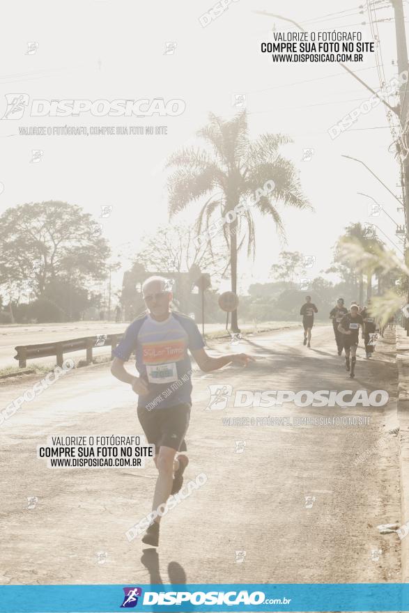 APAE Day Run Rolândia 2023