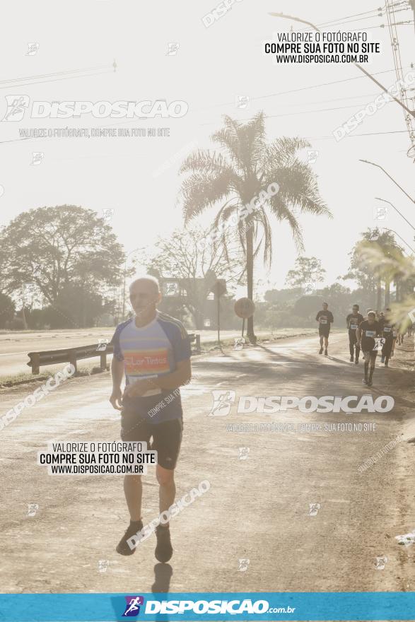 APAE Day Run Rolândia 2023