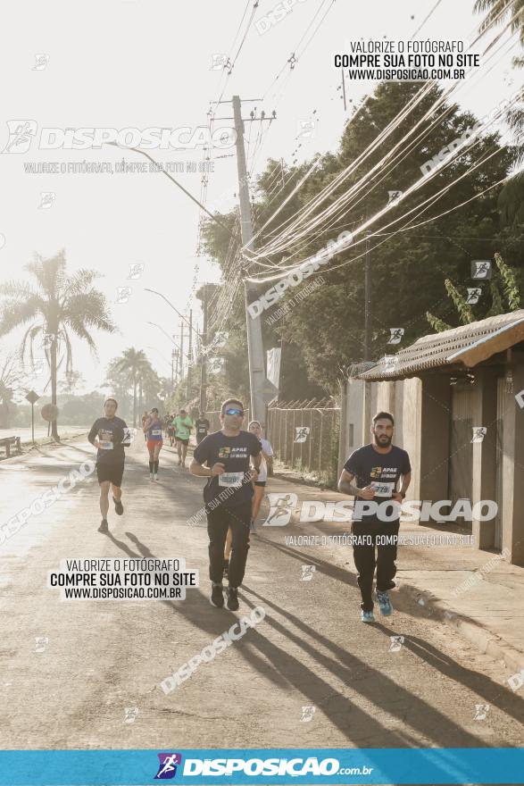 APAE Day Run Rolândia 2023