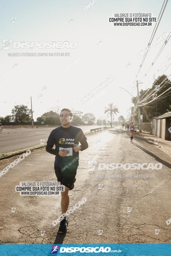 APAE Day Run Rolândia 2023