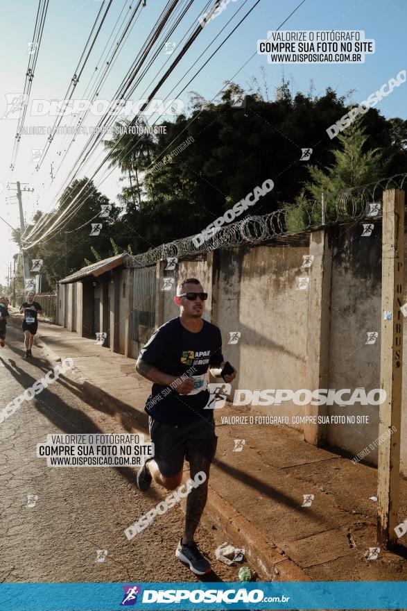 APAE Day Run Rolândia 2023