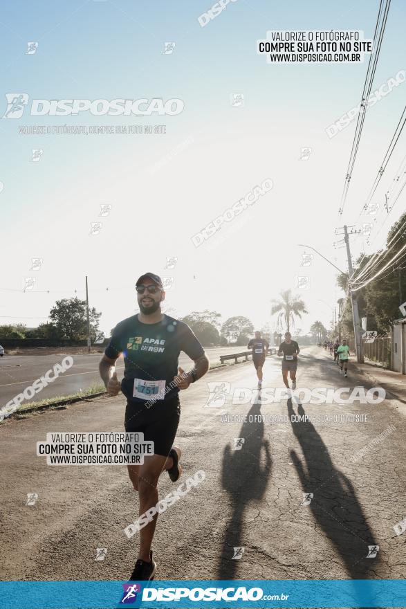 APAE Day Run Rolândia 2023