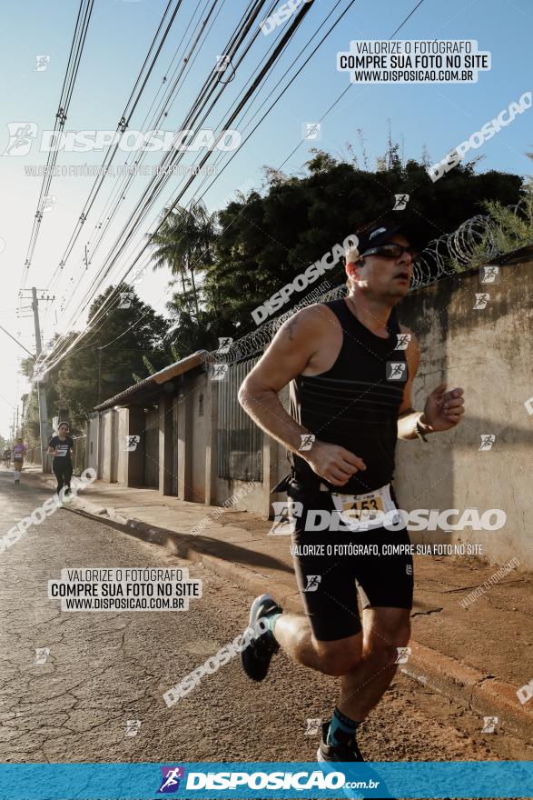 APAE Day Run Rolândia 2023