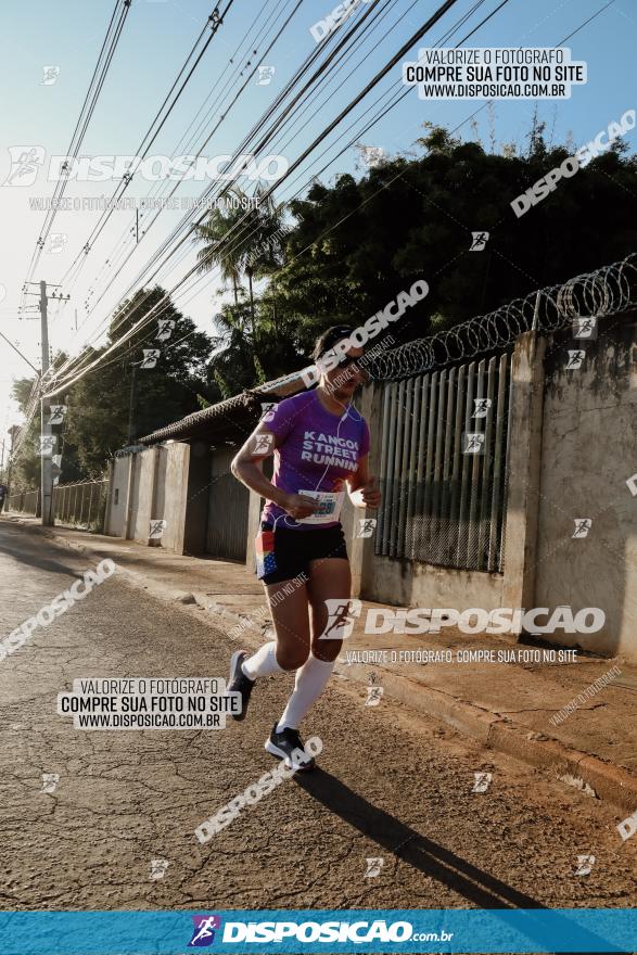 APAE Day Run Rolândia 2023