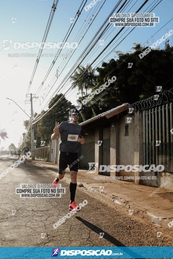 APAE Day Run Rolândia 2023